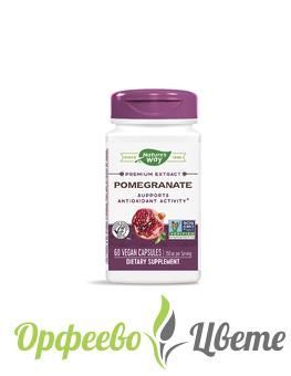 ХРАНИТЕЛНИ ДОБАВКИ Антиоксиданти  Pomegranate / Нар 350 mg х 60 капсули